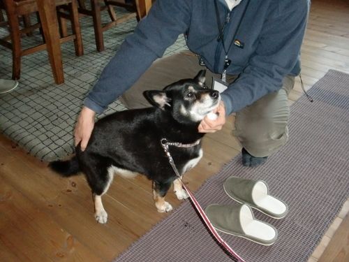CIMG0858.JPG