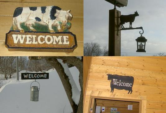 牛グッズ2.JPG
